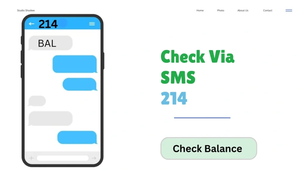 Smart balance check via SMS